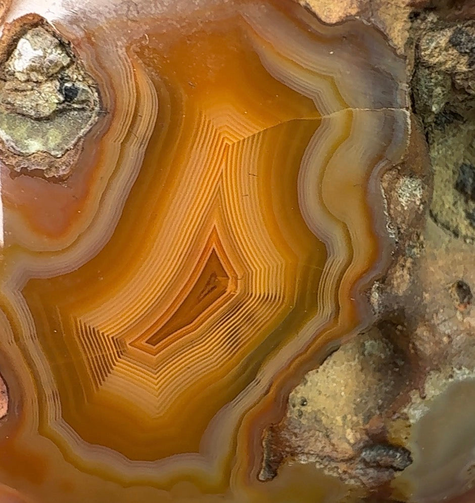 Auction Win: Agate (Great parallax banding!)