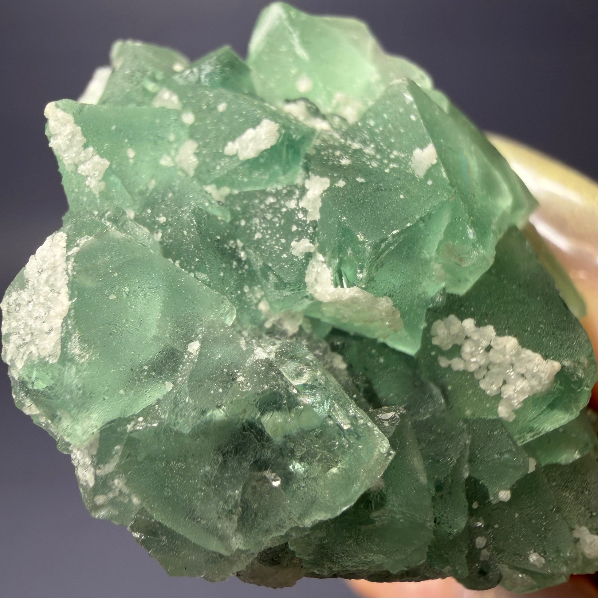 Auction Win: Fluorite (Octahedral) with Quartz (Sugar)
