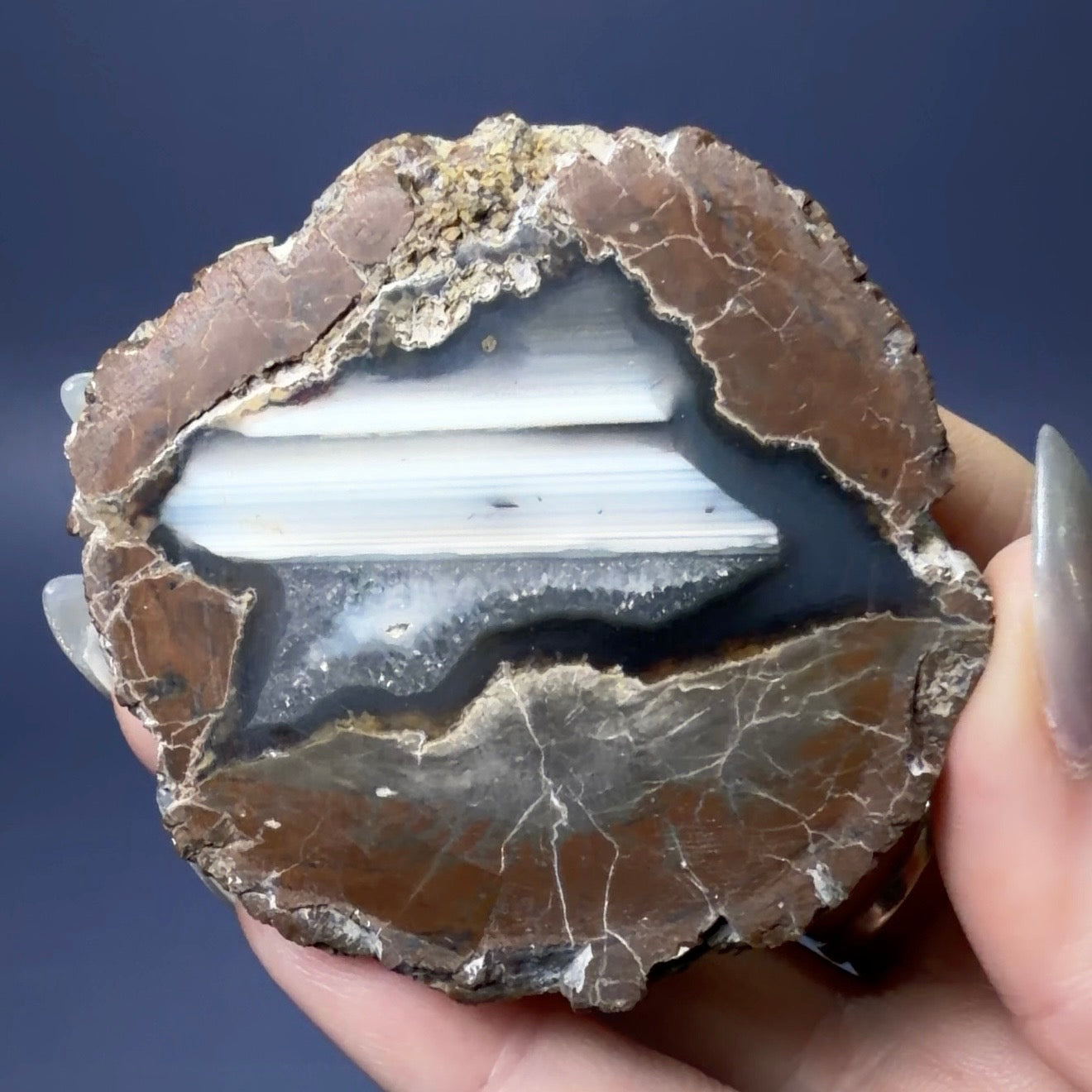Auction Win: Oregon Thunder Egg