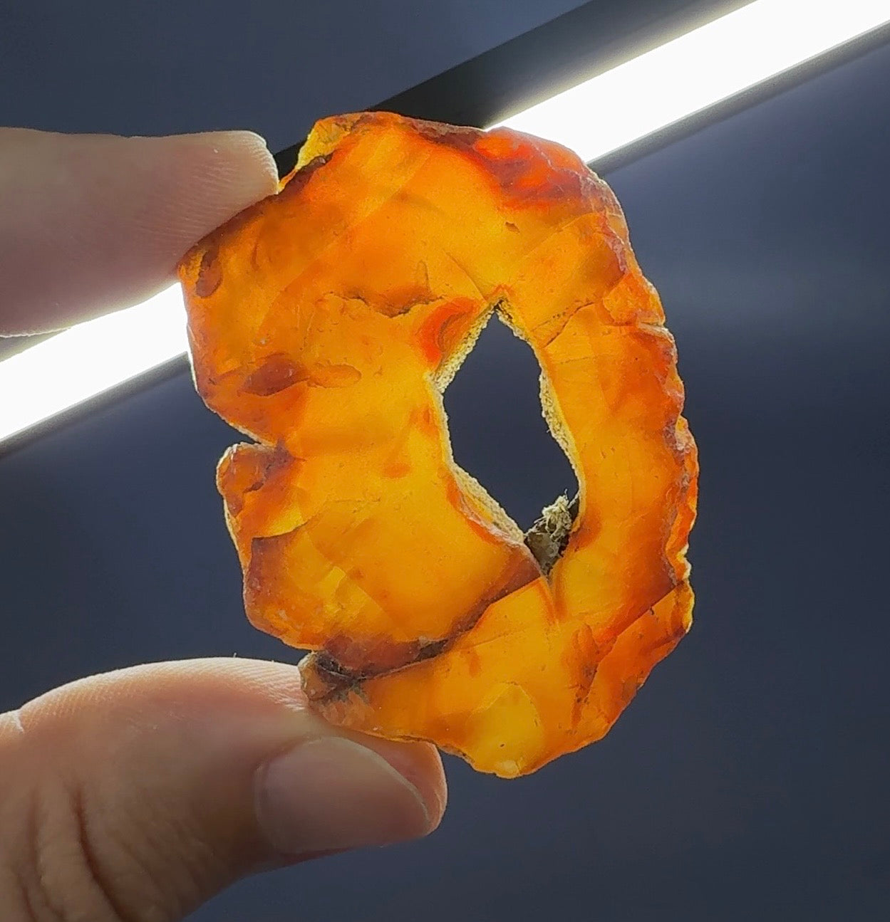 Auction Win: Carnelian (rough-slice ‘donut’)