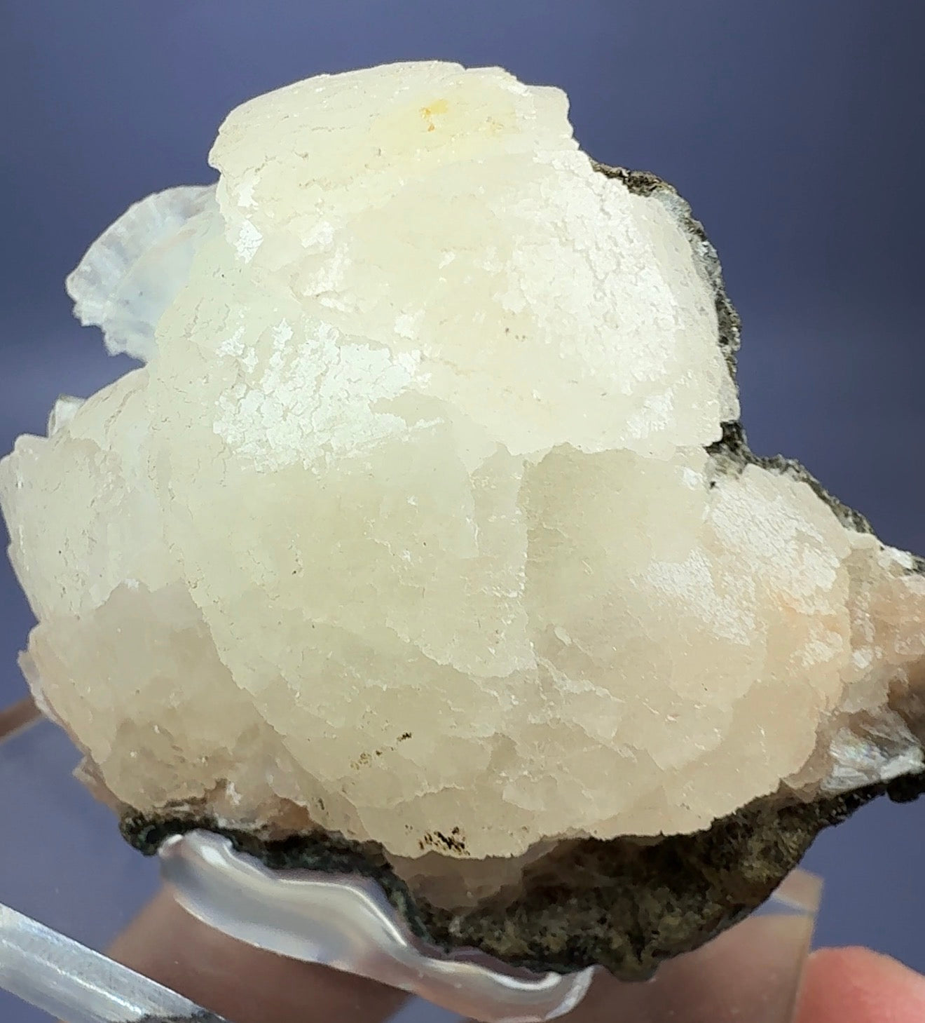 Auction Win: Stellerite (botryoidal)