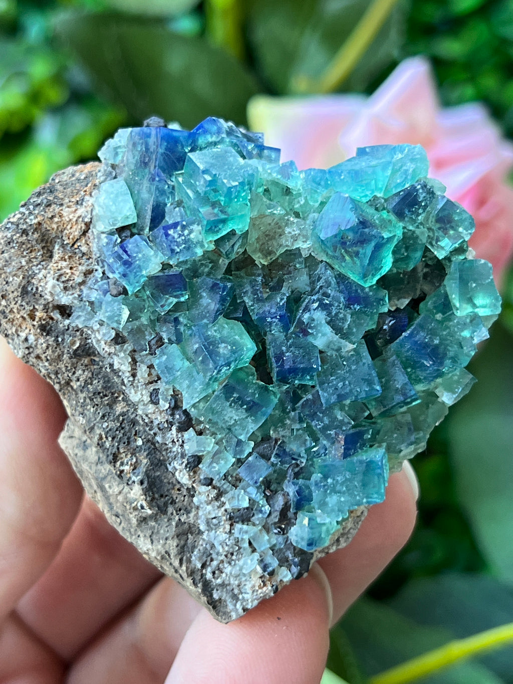 Fluorite (Color Change) w/ Galena