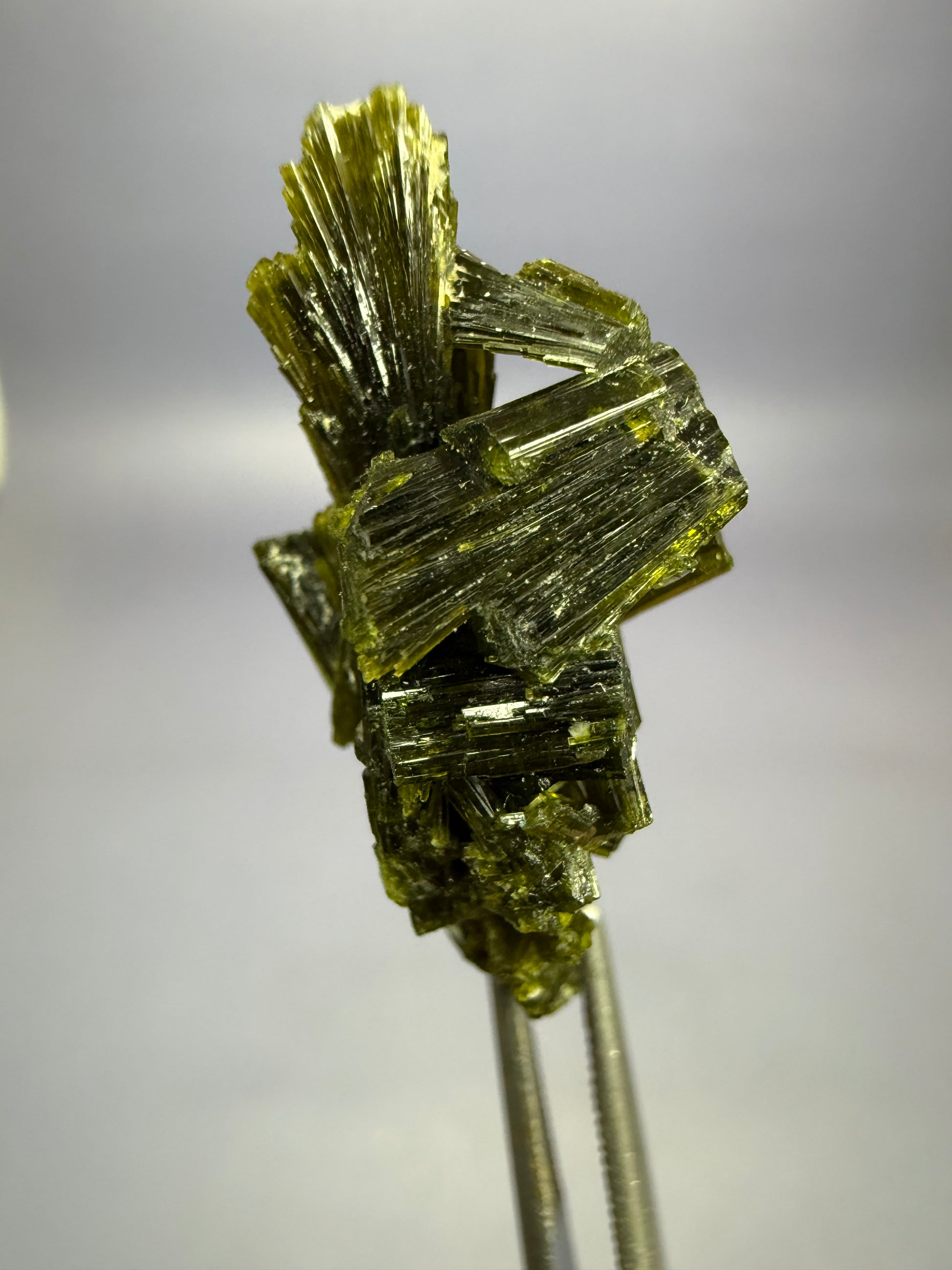 Auction Win: Epidote