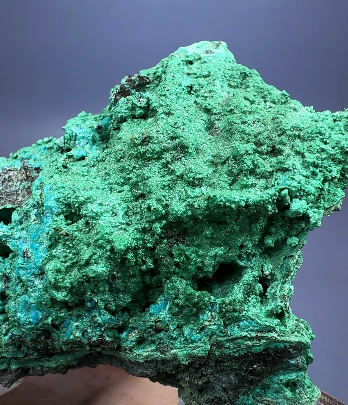 Auction Win: Chrysocolla and Malachite