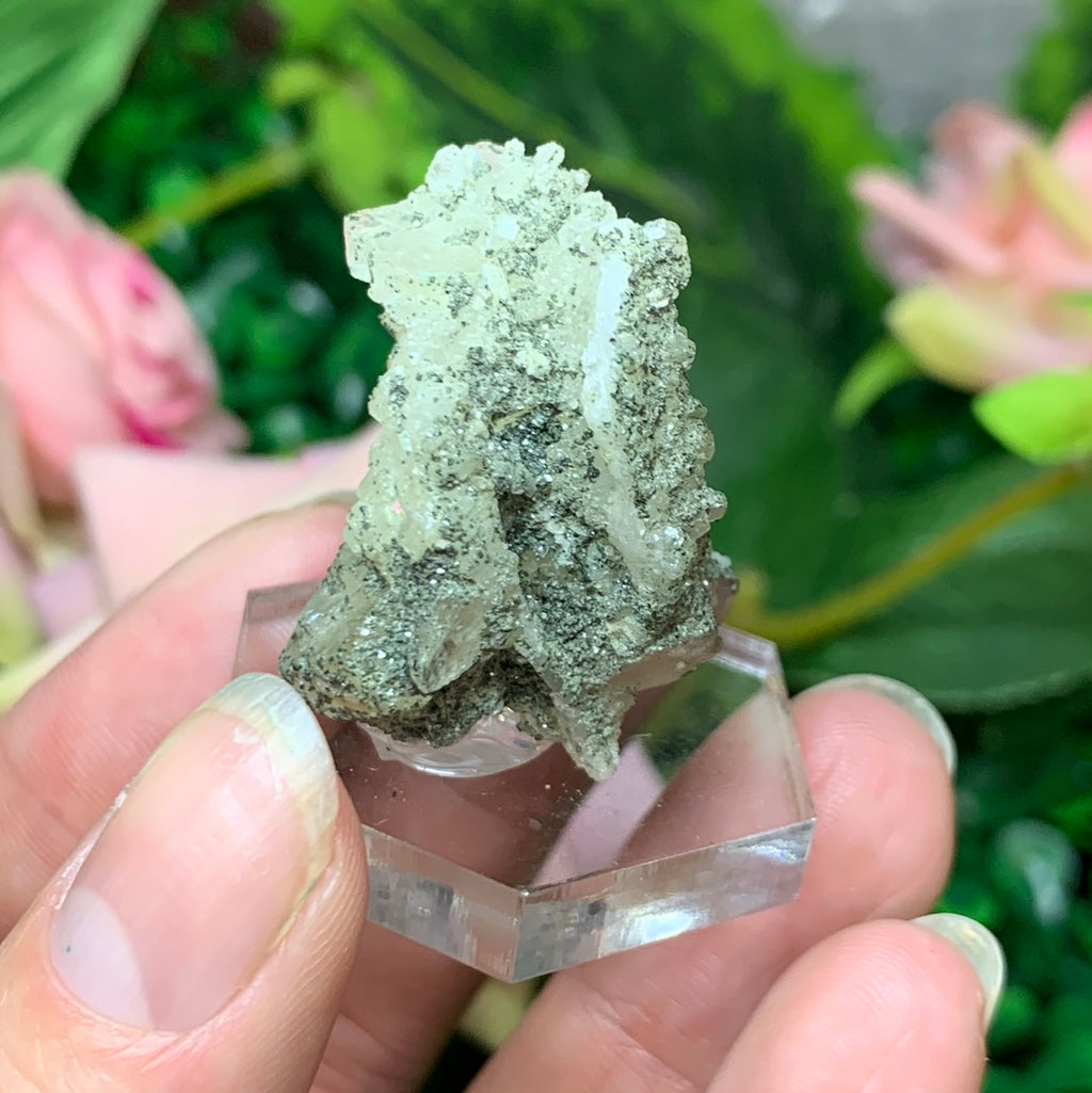 Apatite w/ Clinochlore