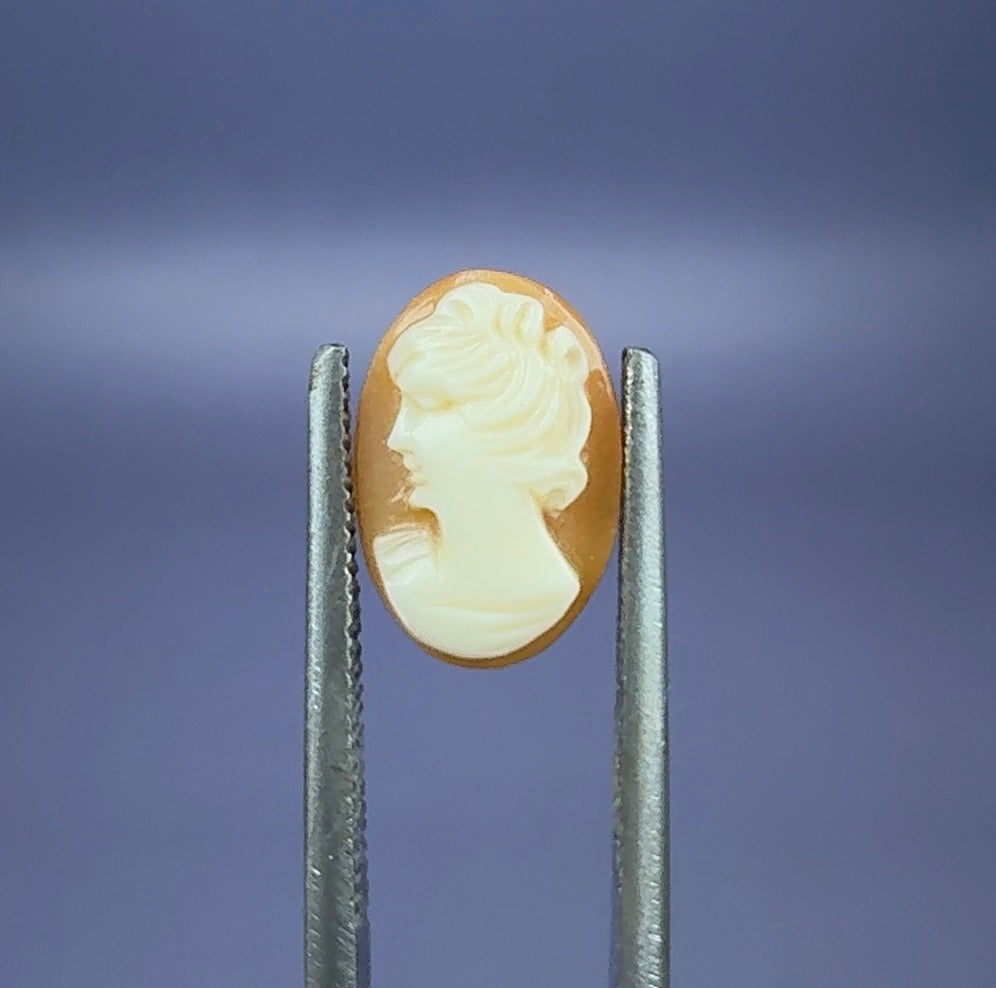 Auction Win: Antique Cameo (circa. 1880-1920’s) 2.05ct