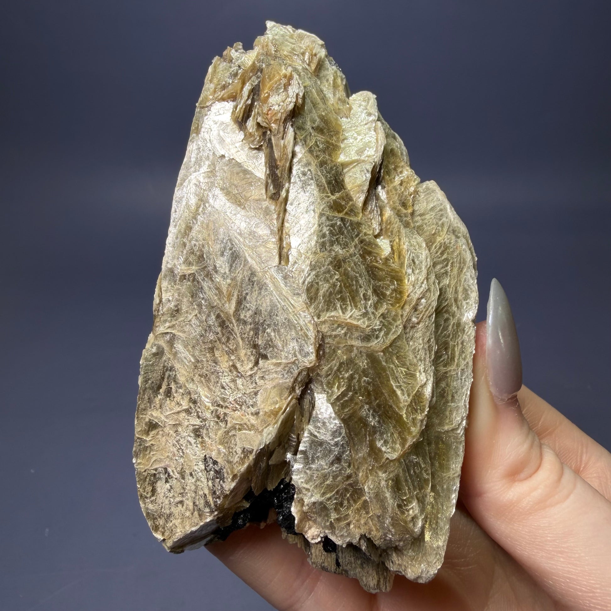 Auction Win: Golden Mica