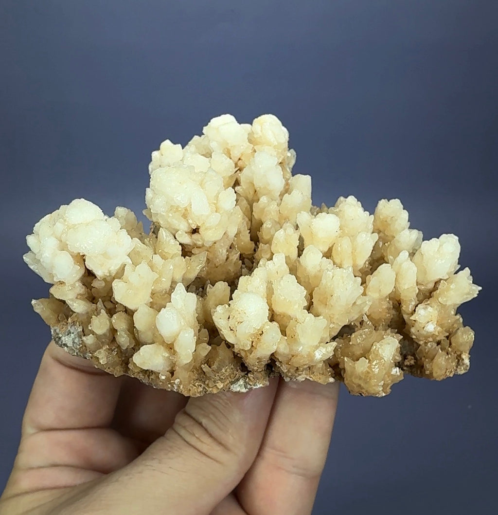 Auction Win: Aragonite