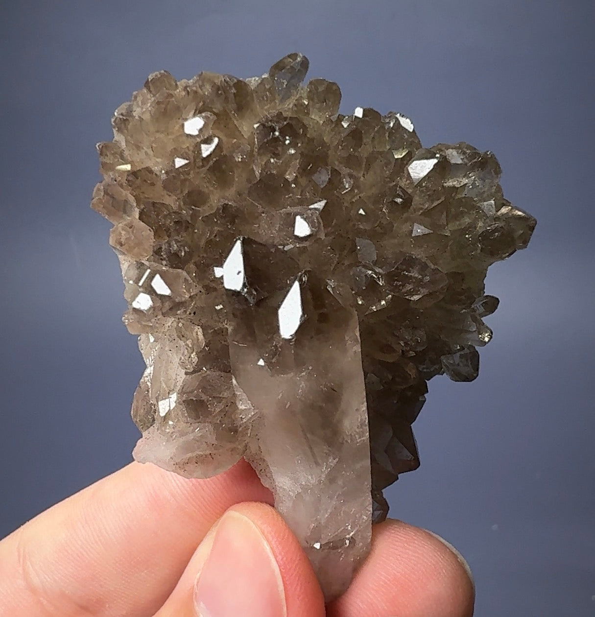 Auction Win: Smoky Quartz