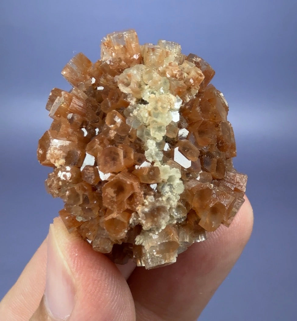 Auction Win: Bi-color ‘Star’ Aragonite