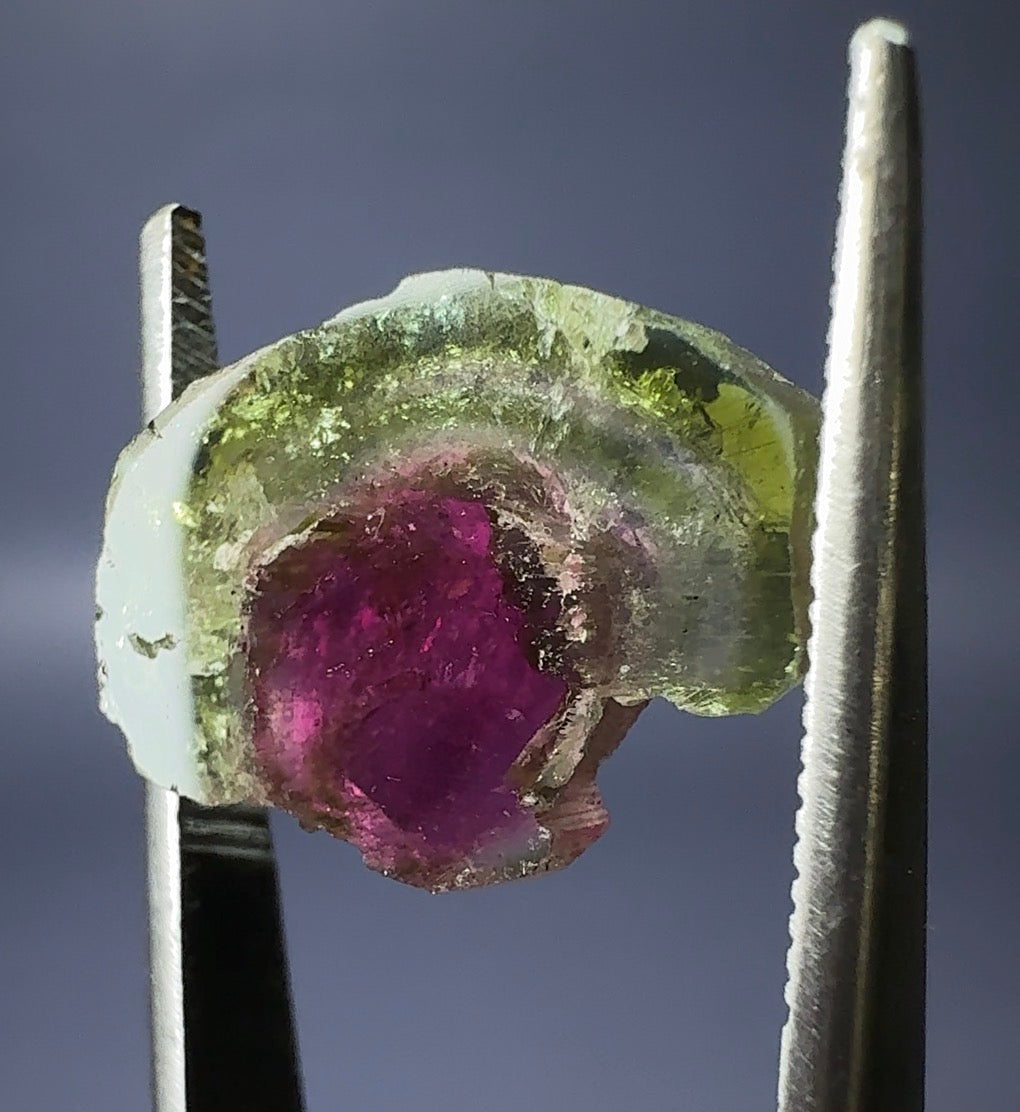 Auction Win: Watermelon Tourmaline Slice 7.69ct