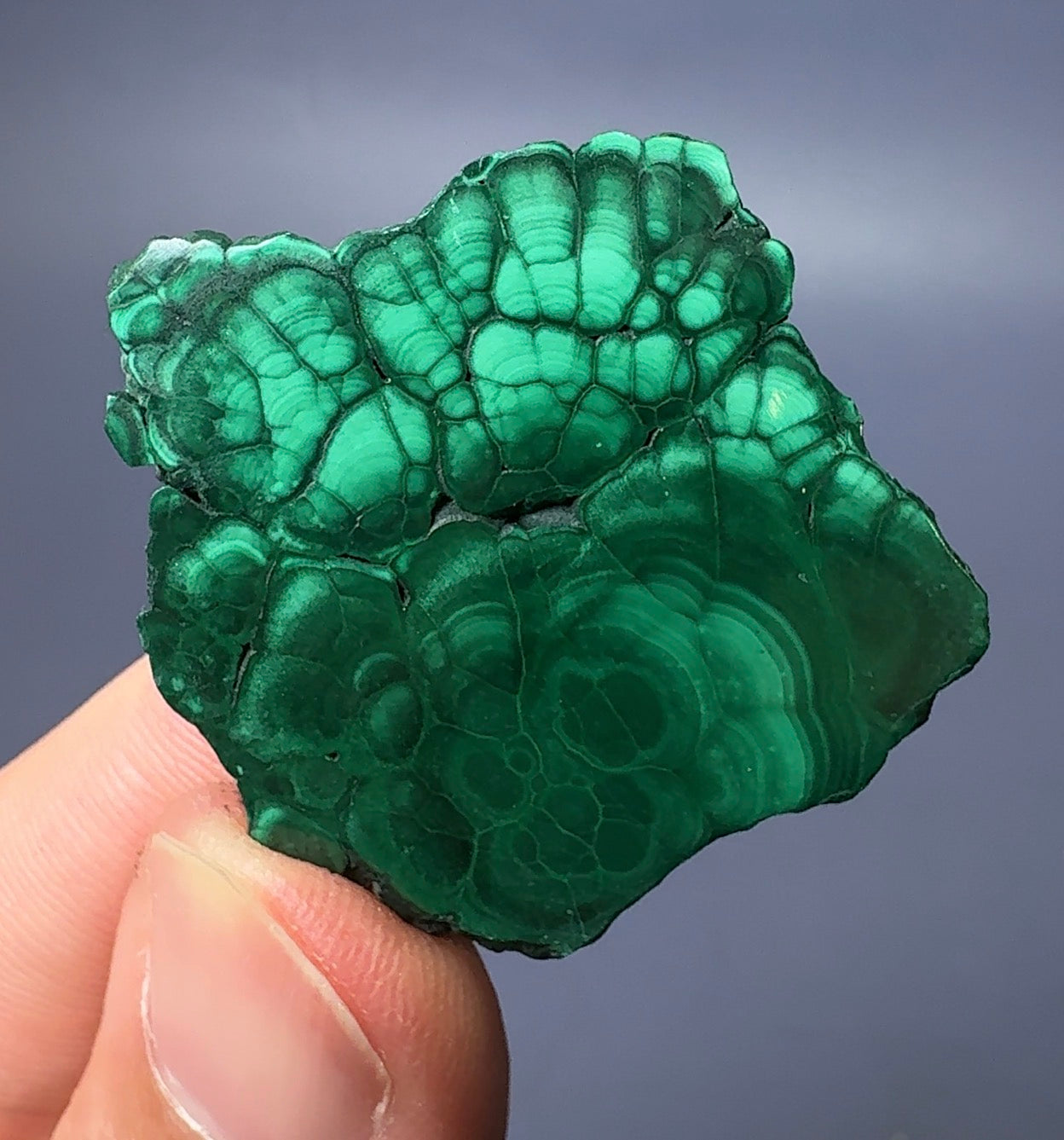 Auction Win: Malachite (cap)