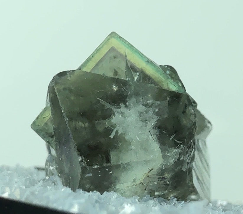 Auction Win: Greedy Hog Pocket Fluorite (great zoning!)