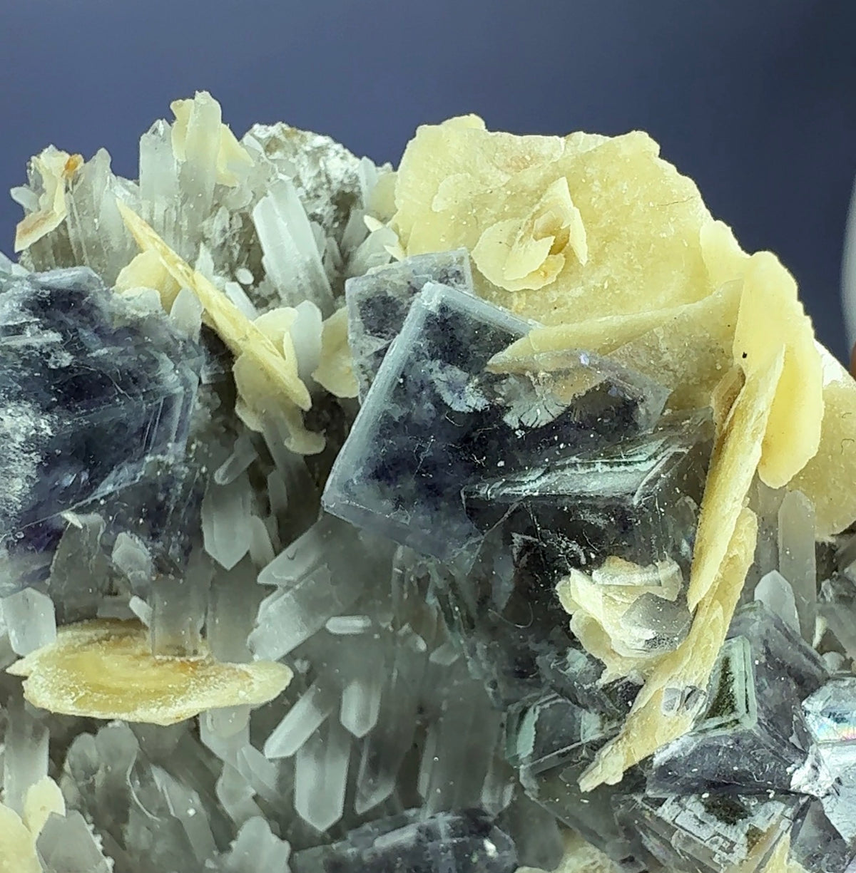 Auction Win: Fluorite with Siderite on Quartz