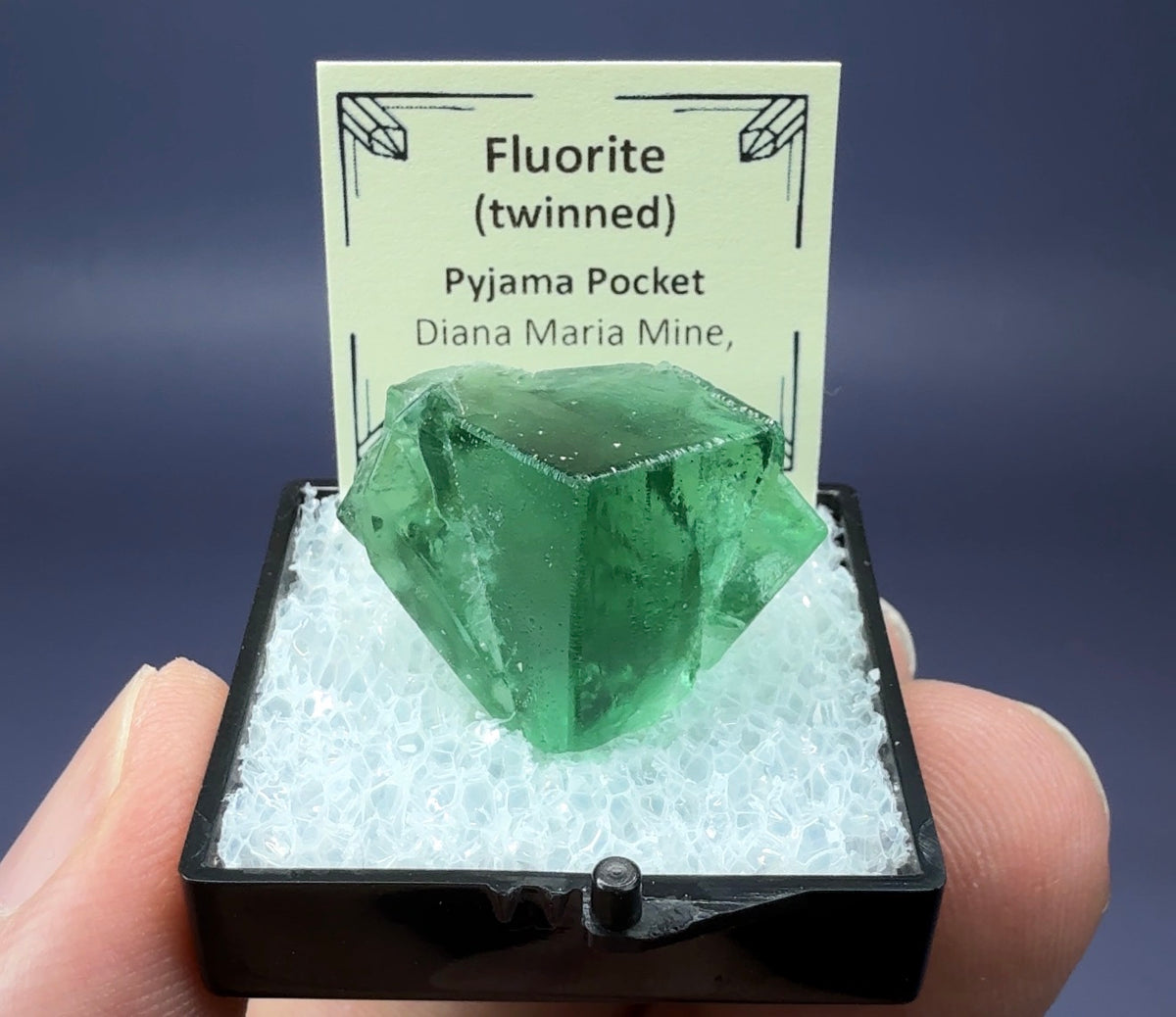 Auction Win: Pyjama Pocket Fluorite (Twinned)
