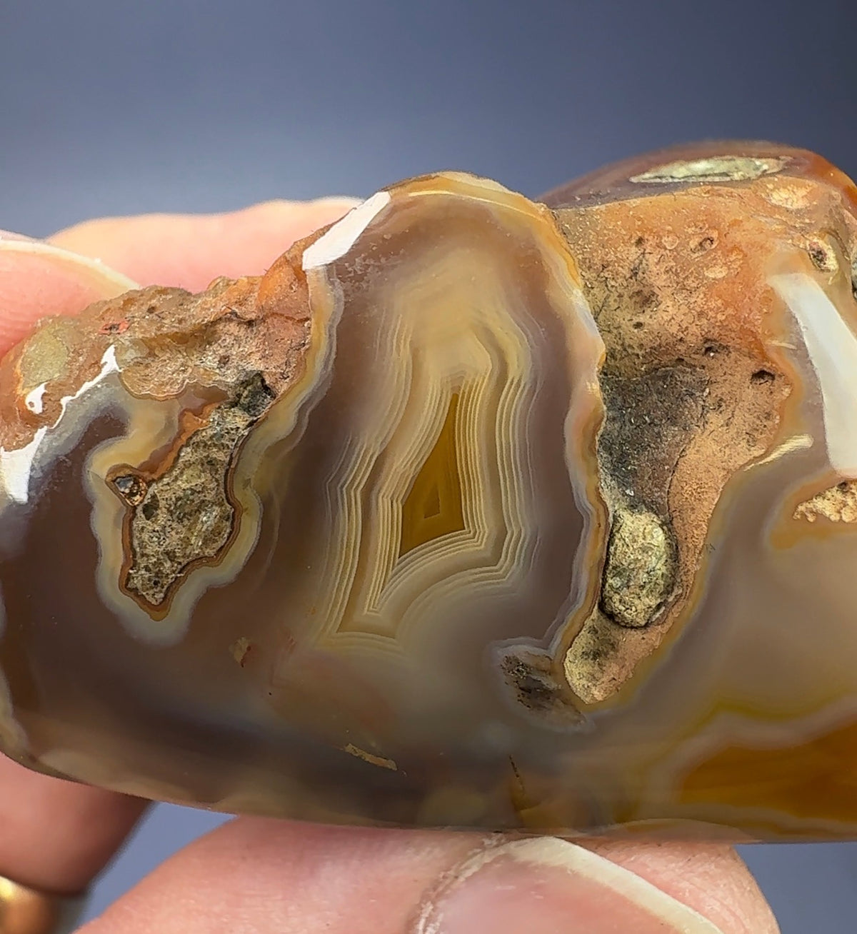 Auction Win: Agate (Great parallax banding!)