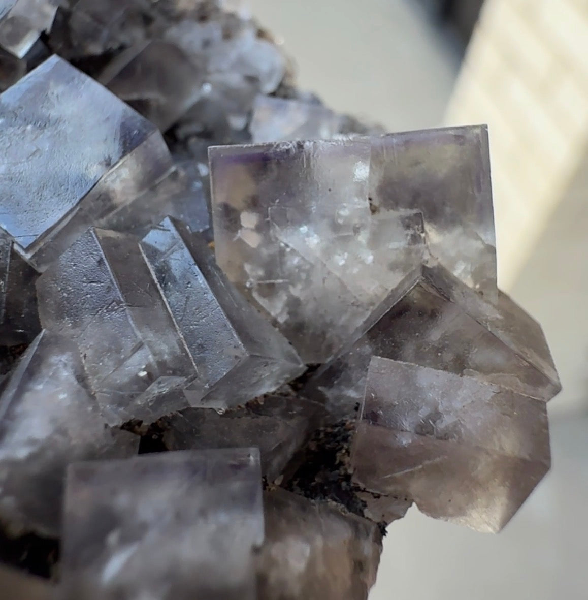 Auction Win: ‘The Bull Vein’ Fluorite (closed mine)