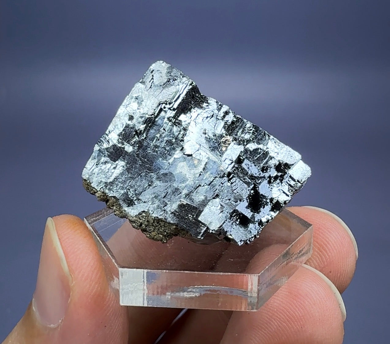 Auction Win: Galena (great luster)