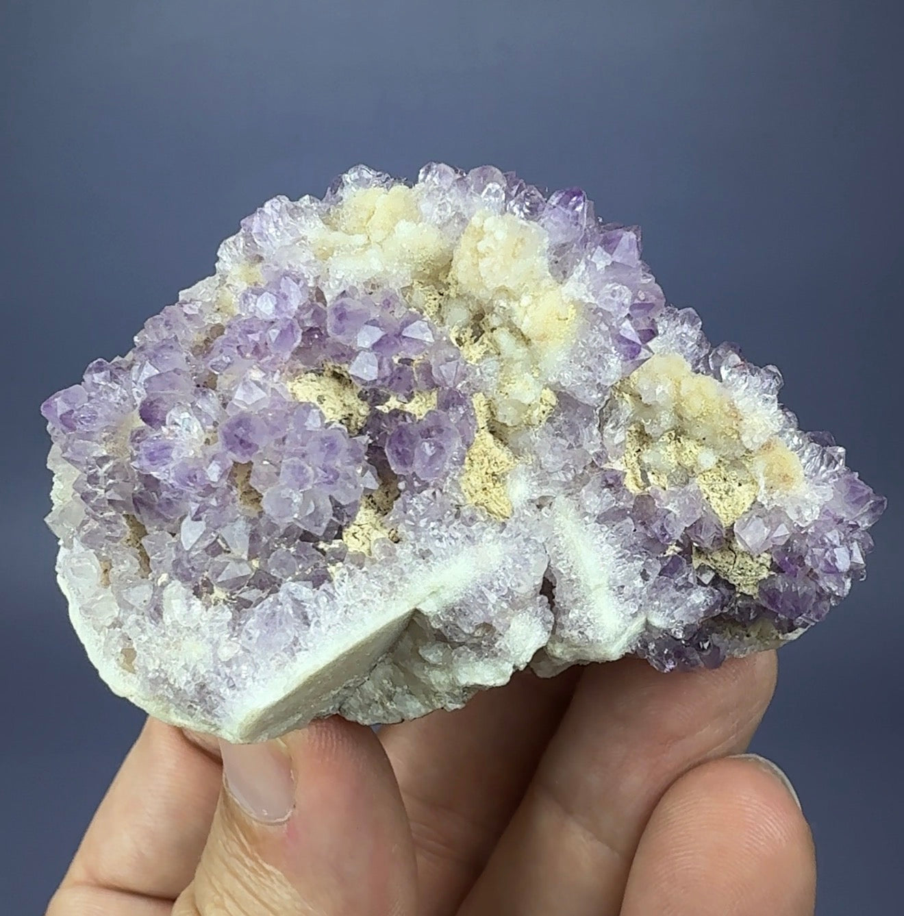 Auction Win: Amethyst