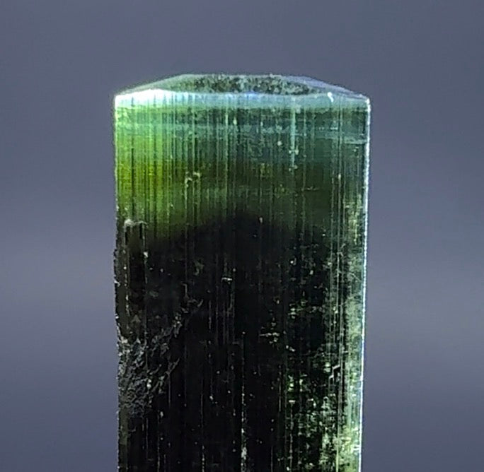Auction Win: Blue/Green Cap Elbaite