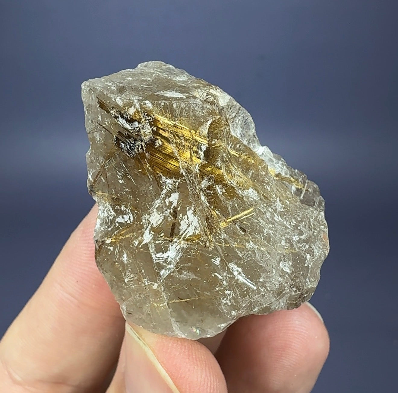 Auction Win: ‘Star’ Rutile in Smoky Quartz