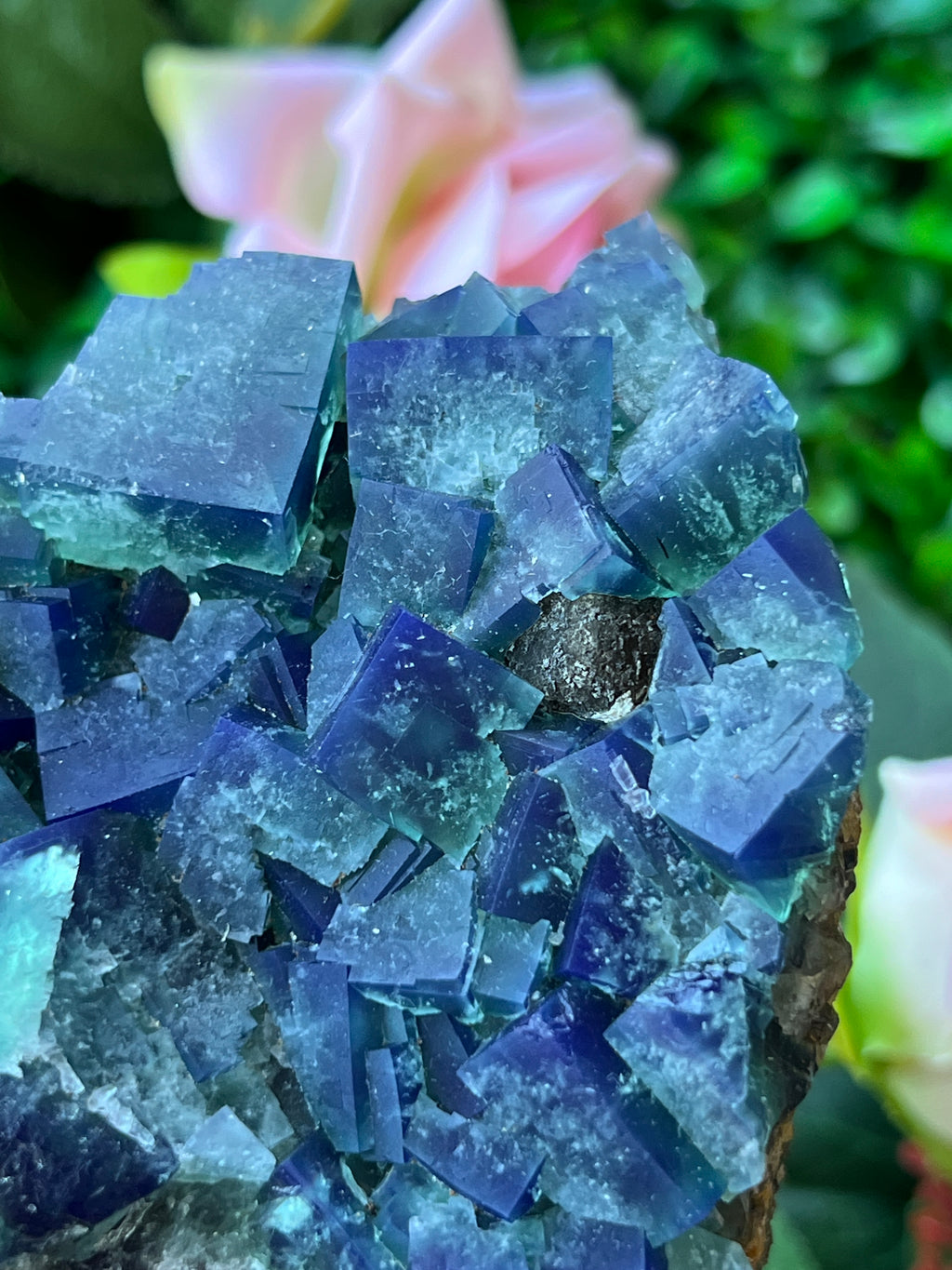 Fluorite (Color Change) - Naughty Gnome Pocket