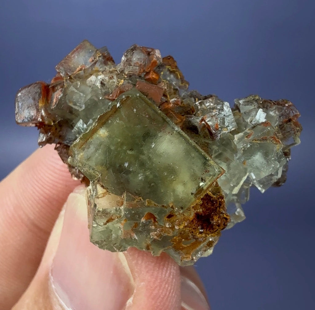 Auction Win: Fluorite