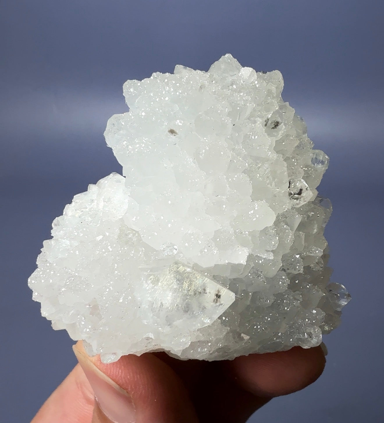 Auction Win: ‘Sugar’ Apophyllite on Apophyllite (Druzy sparkles)