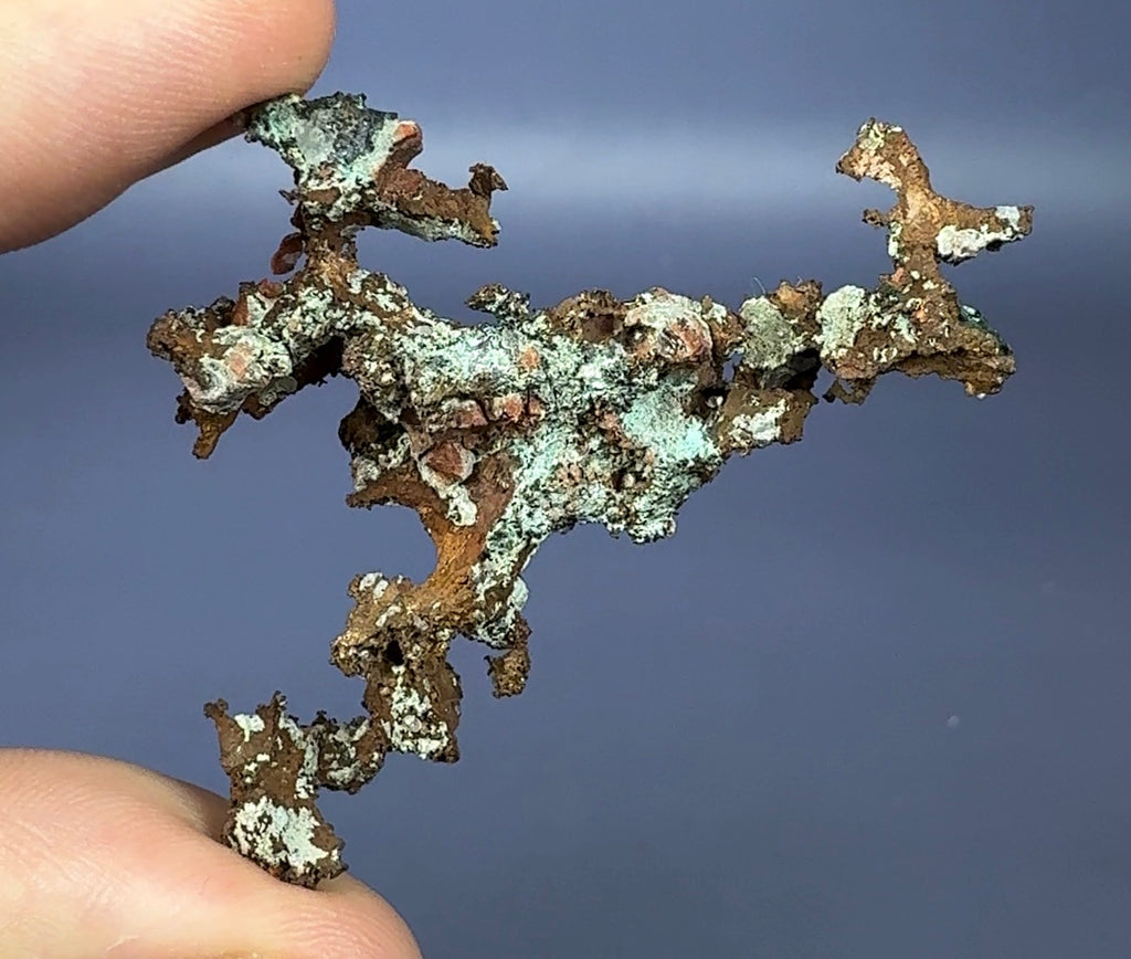 Auction Win: Copper (arborescent branching) ex. Larry Cull Collection