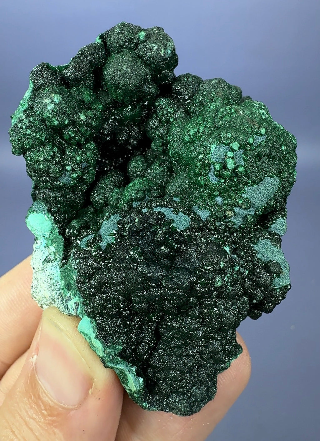 Libethenite and Malachite on Chrysocolla