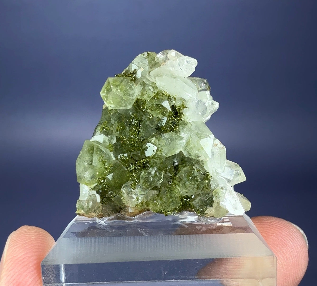 Auction Win: Turkey Epidote and Quartz
