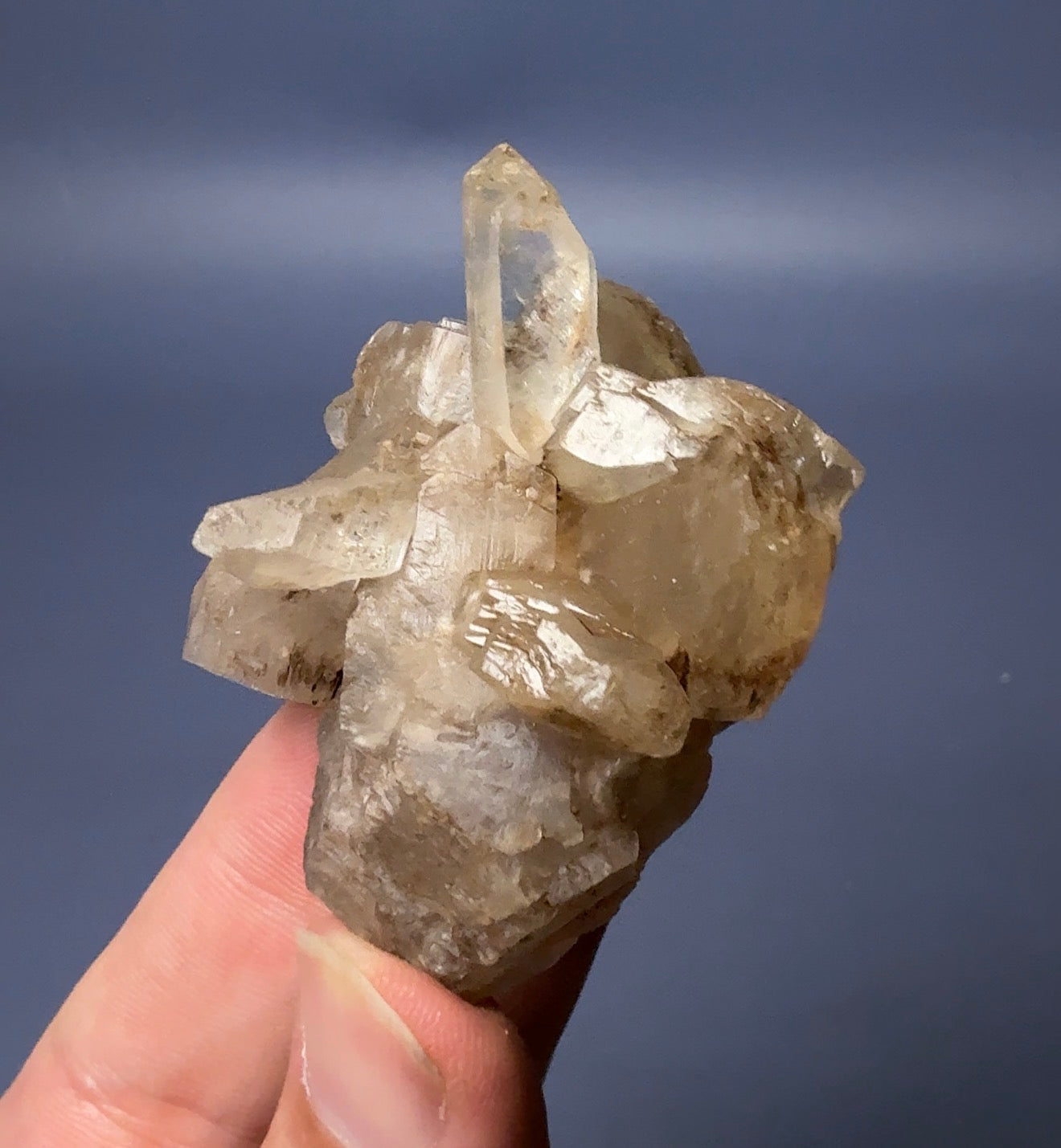 Auction Win: Selenite ‘Flower’