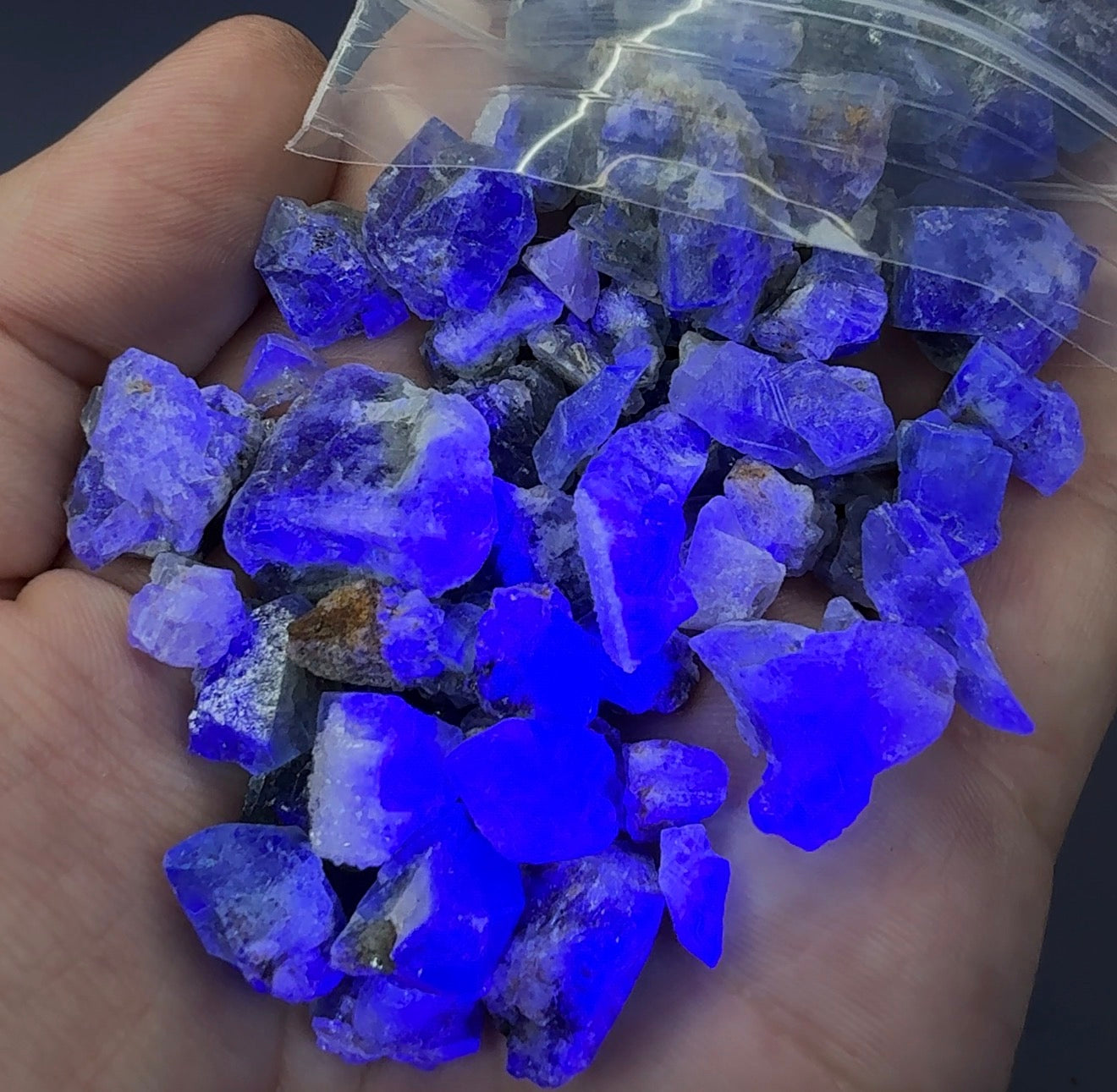 Auction Win: Truffle Pig Pocket Fluorite (entire bag)