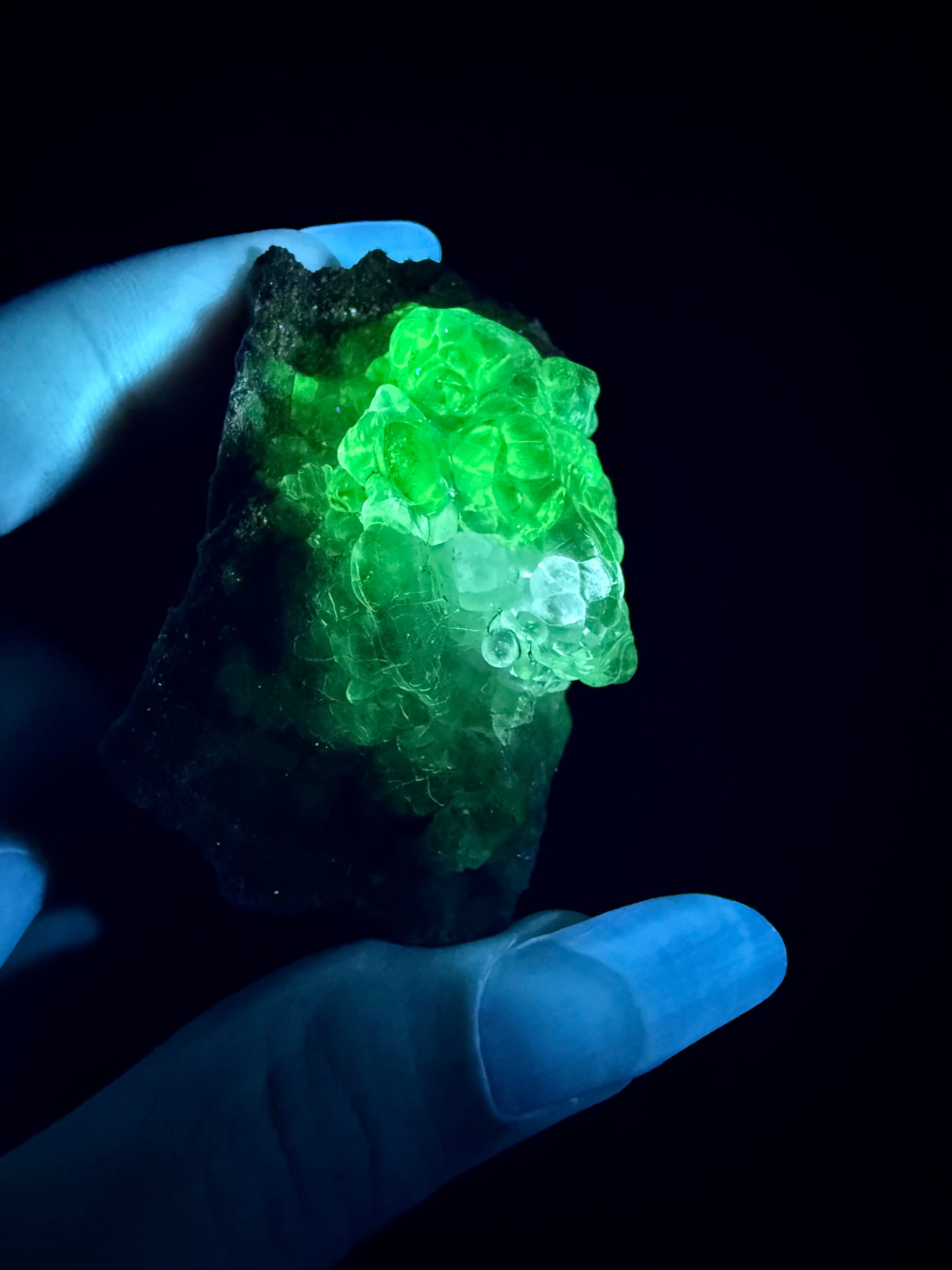 Auction Win: Hyalite Opal (fluorescent)