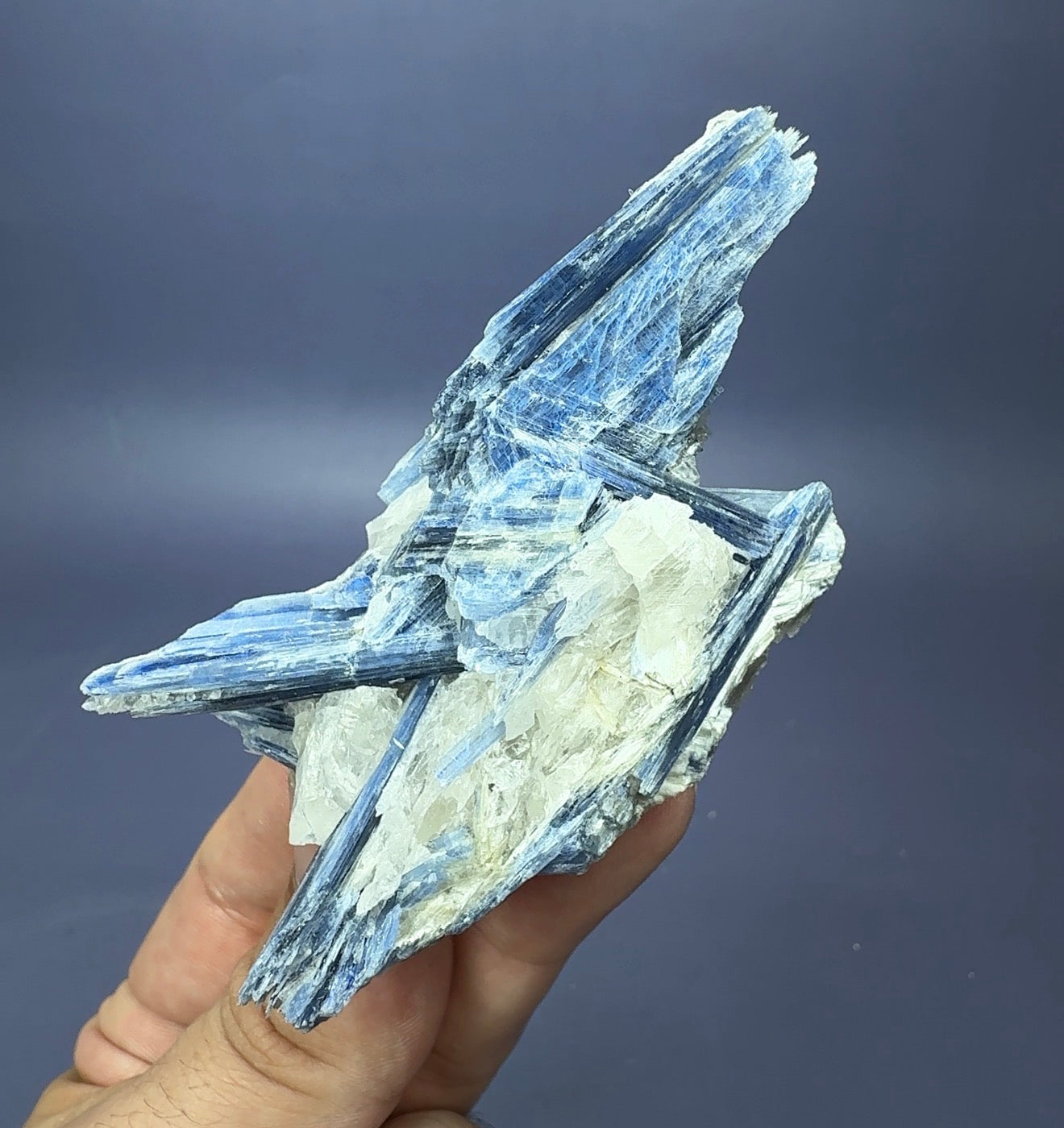 Auction Win: Blue Kyanite with Quartz (good color)