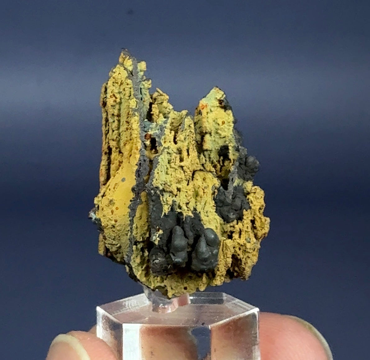Auction Win: Limonite Goethite