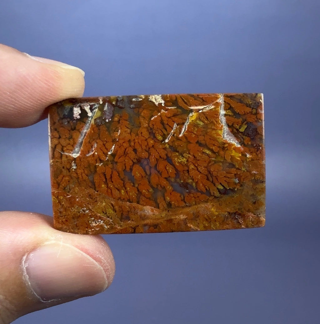 Auction Win: Plume Agate Cabachon