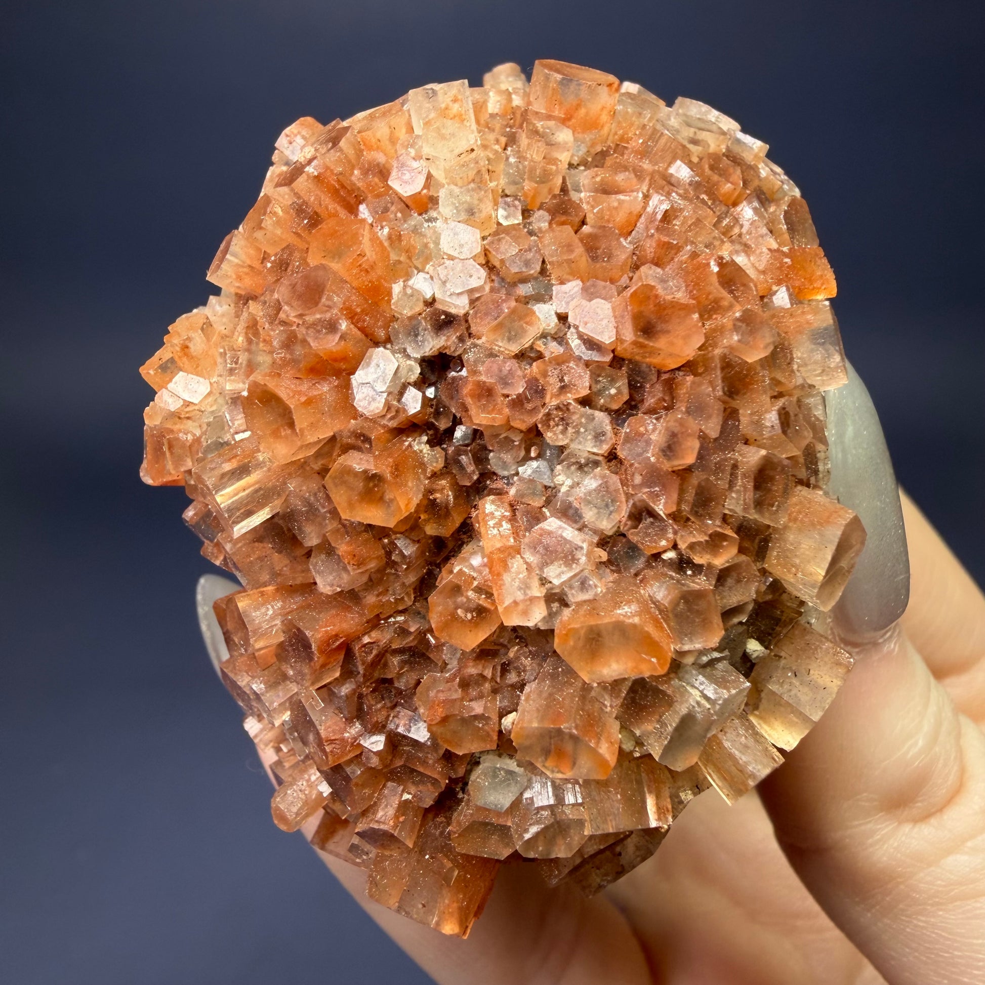 Auction Win: ‘Star’ Aragonite