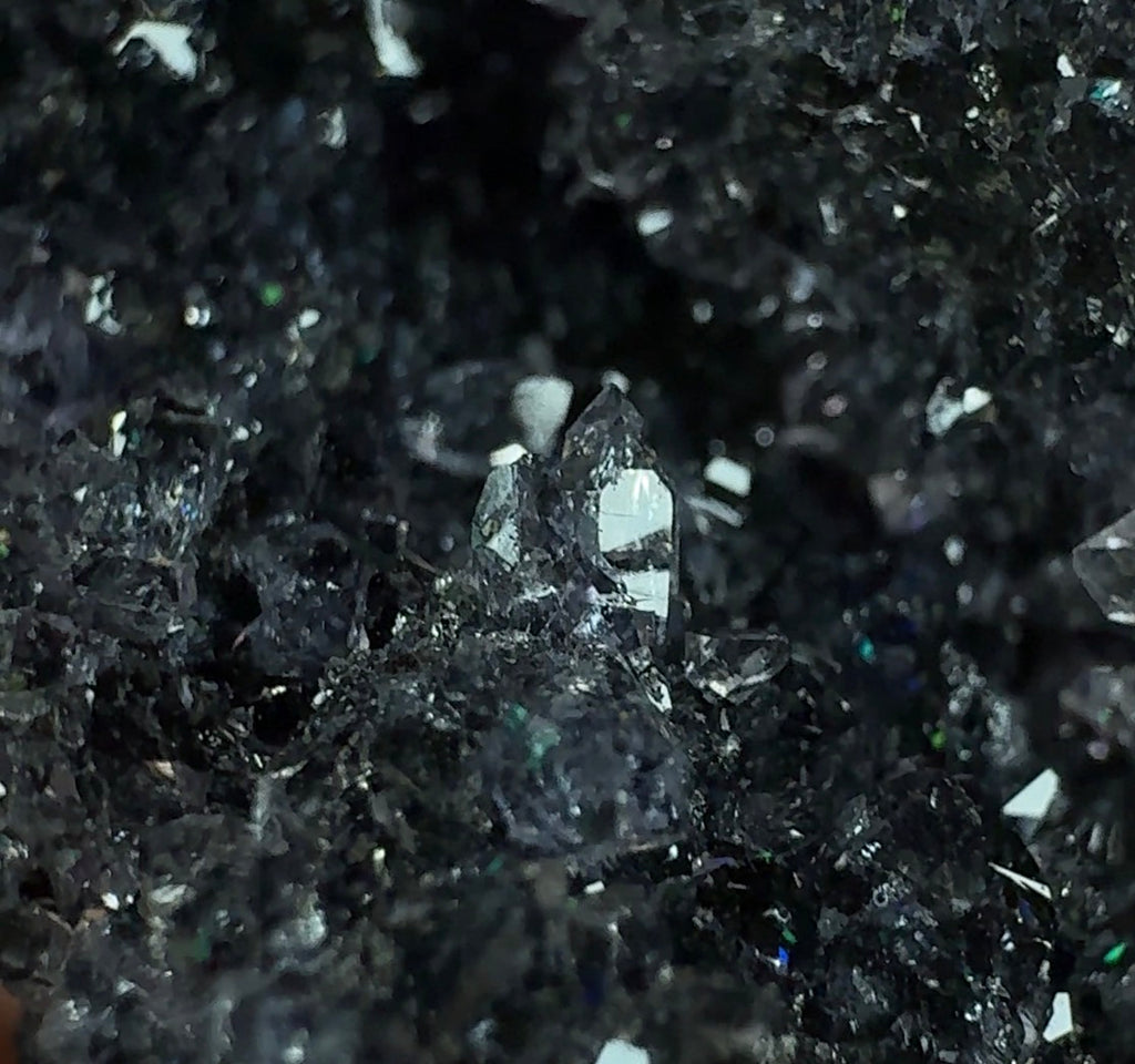Auction Win: Quartz var. ‘Black’ Amethyst