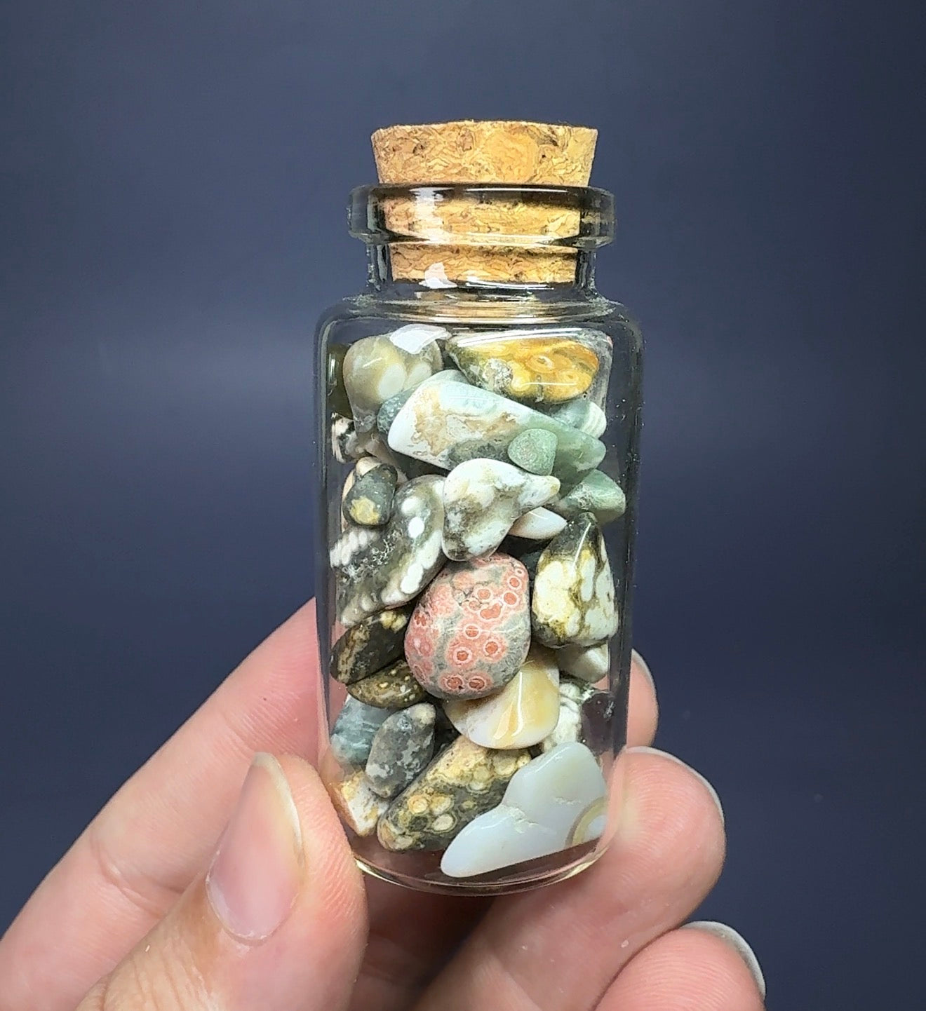 Auction Win: Ocean Jasper Jar