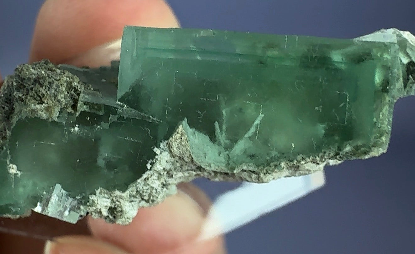Auction Win: Fluorite (zoned)