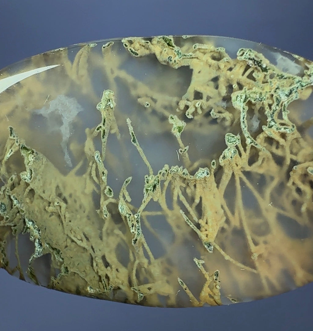 Auction Win: Moss Agate Cabochon