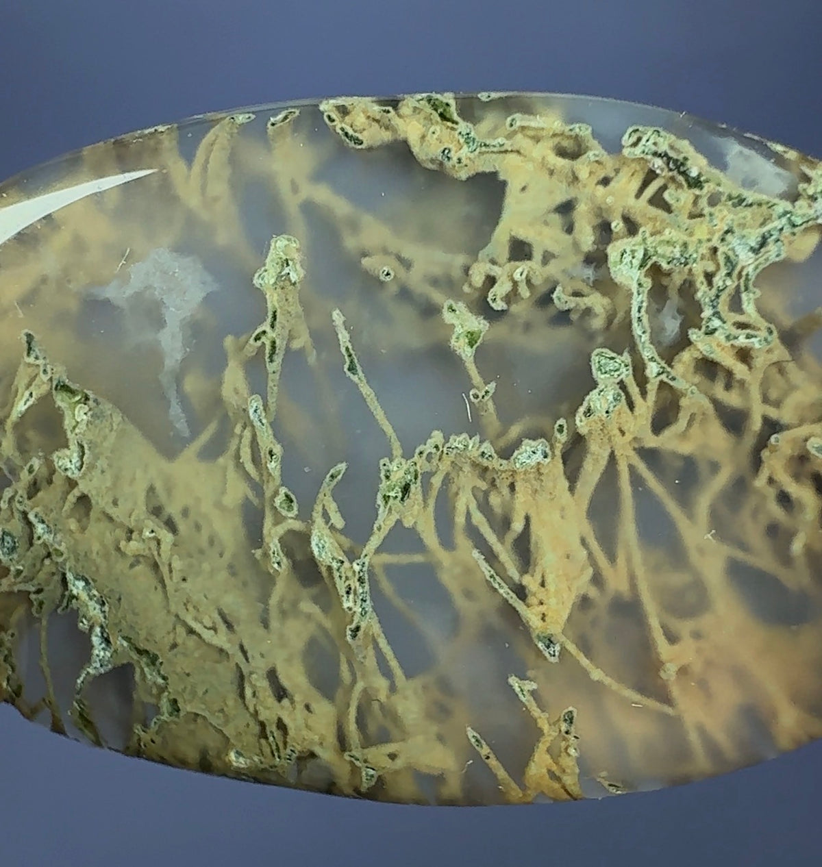 Auction Win: Moss Agate Cabochon