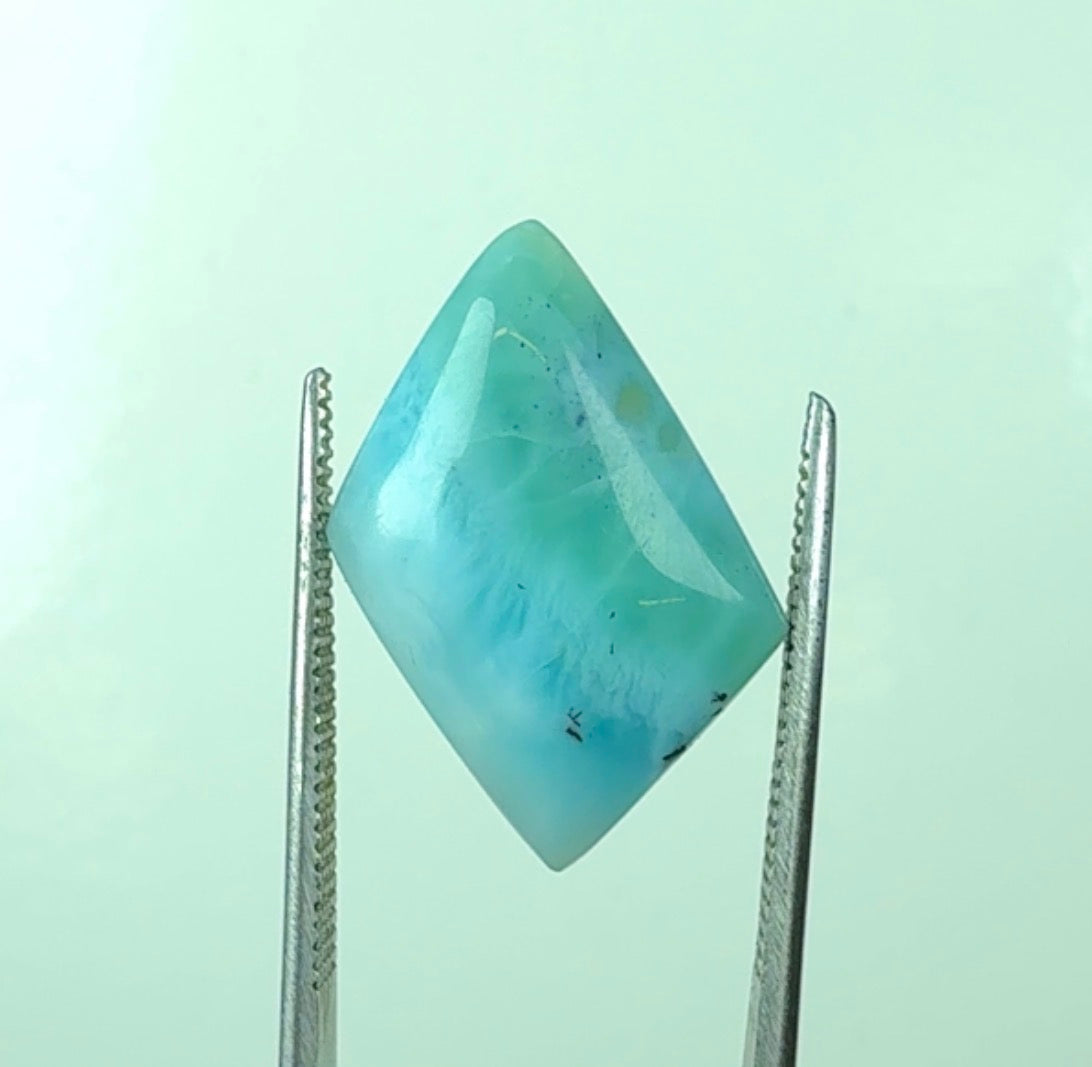 Auction Win: Larimar