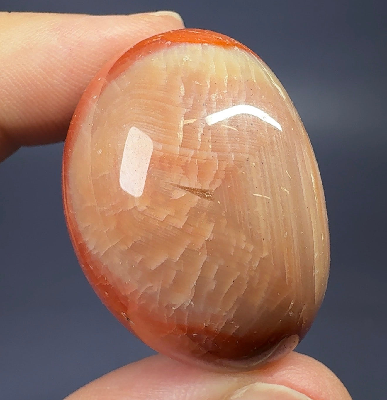 Auction Win: Carnelian Agate (polished)