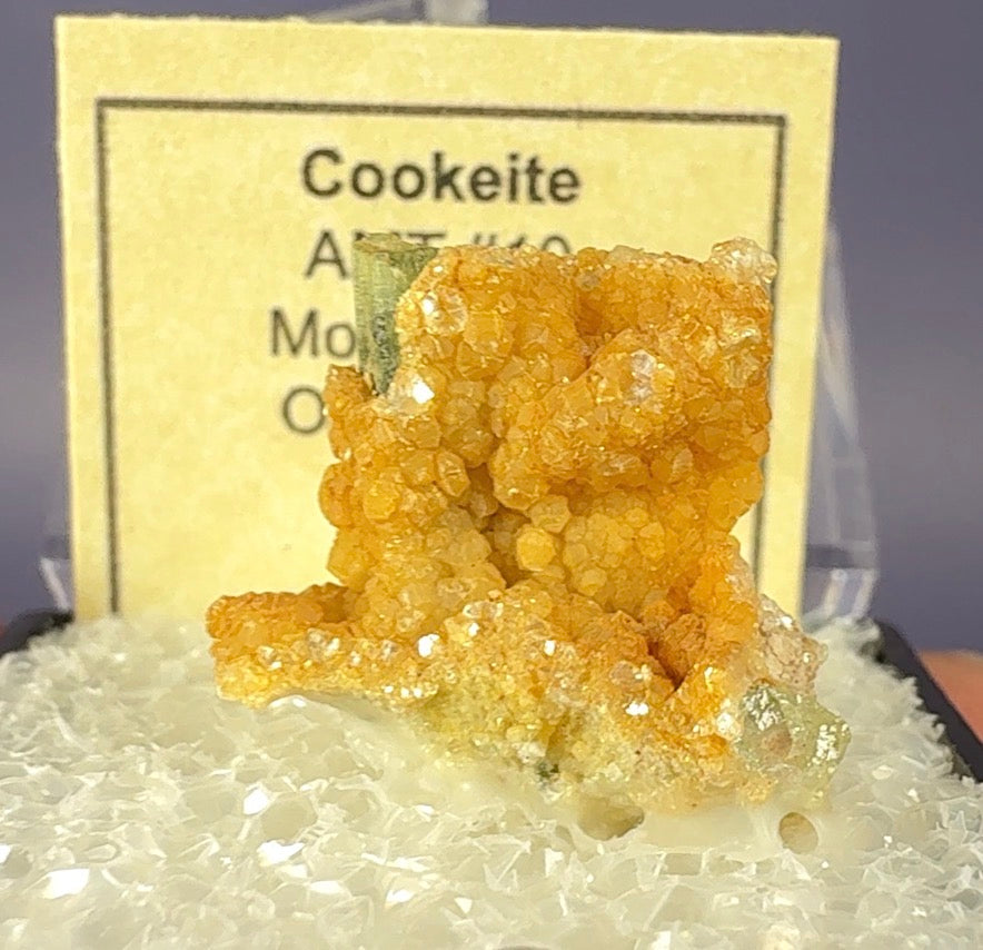 Auction Win: Cookeite on Elbaite (classic locale)