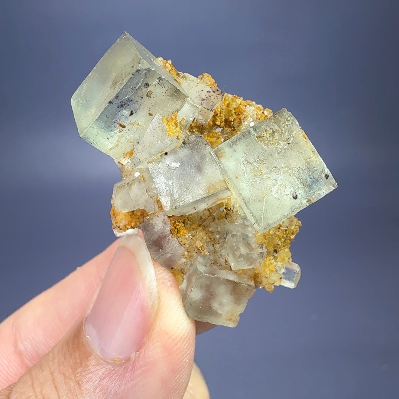 Auction Win: Fluorite with Iron-stained Quartz