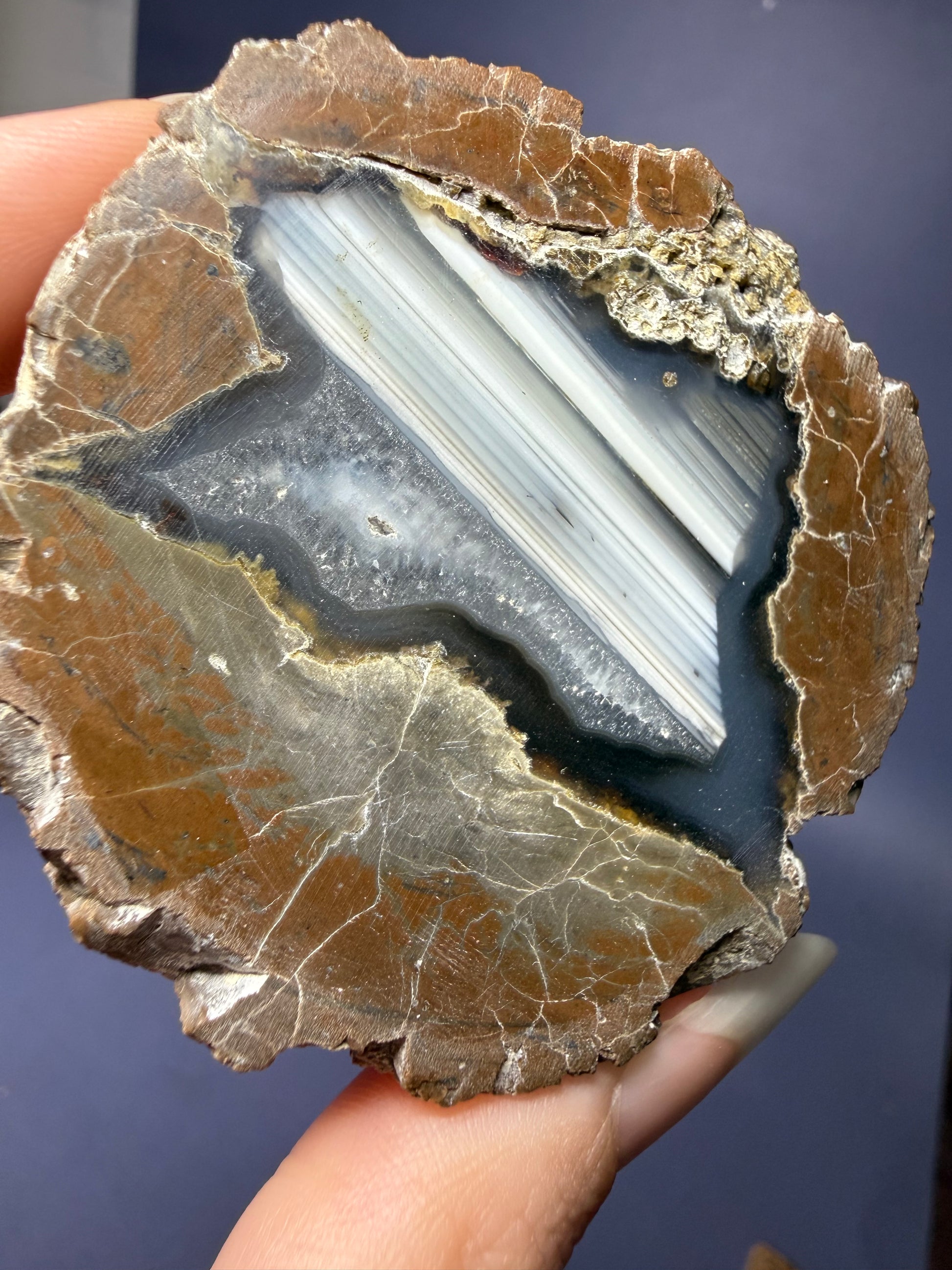 Oregon Thunder Egg