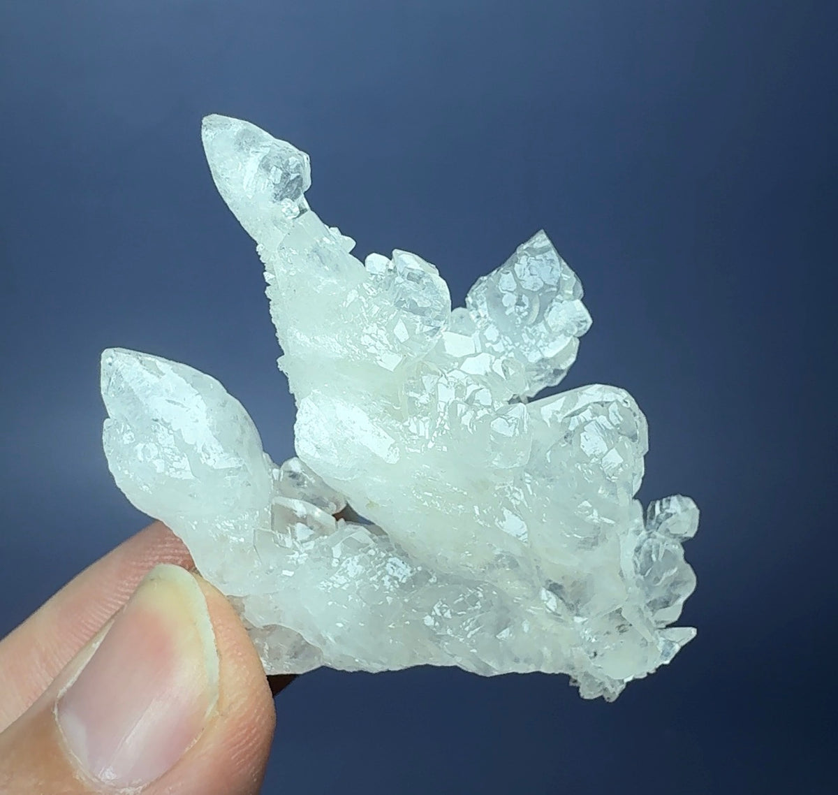 Auction Win: ‘Cave’ Calcite (high luster & clarity)