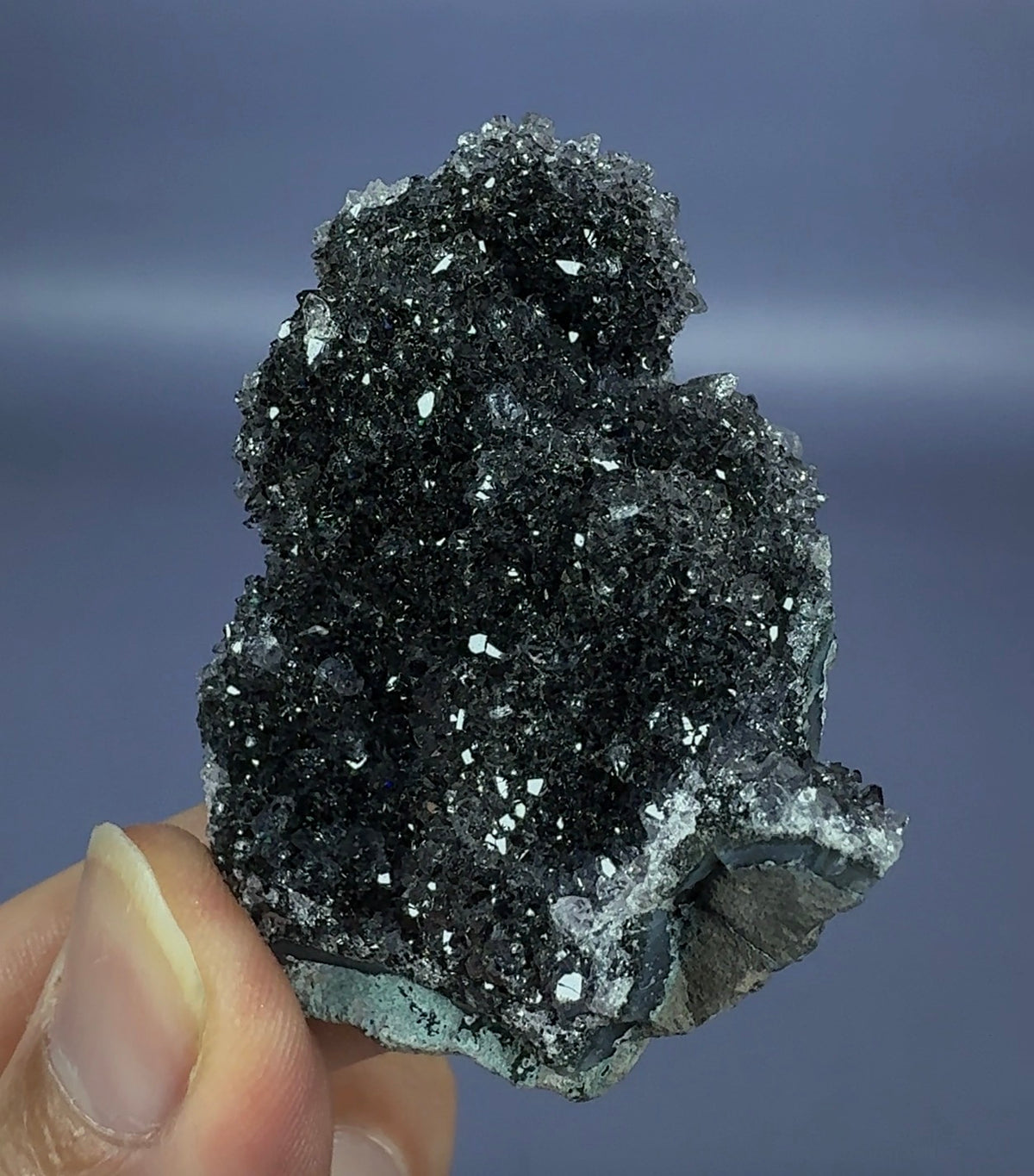 Auction Win: Quartz var. ‘Black’ Amethyst